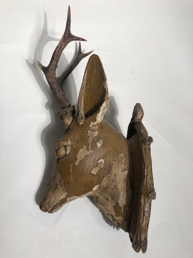 Tête De Chevreuil Taxidermie Sur écusson - Cabinet De Curiosités - Occasion Bon état