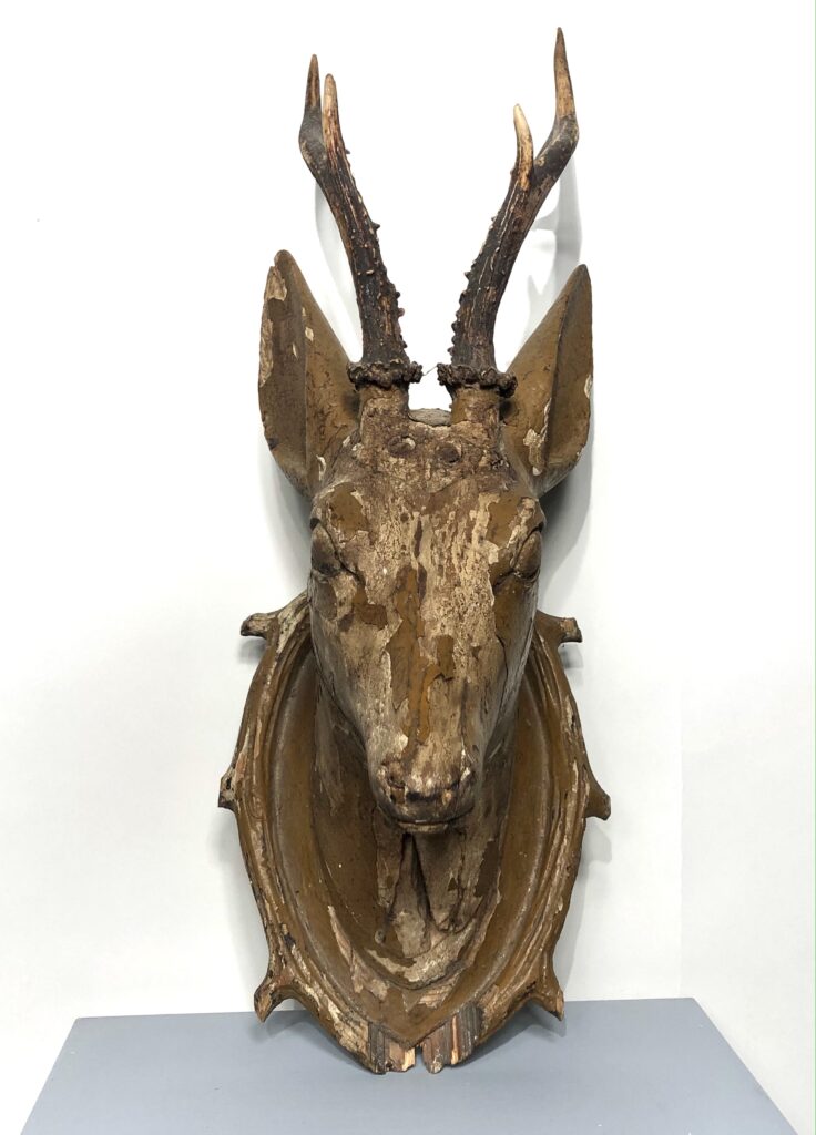 Tête de chevreuil en bois sculpté. Rémi Dubois Antiquités